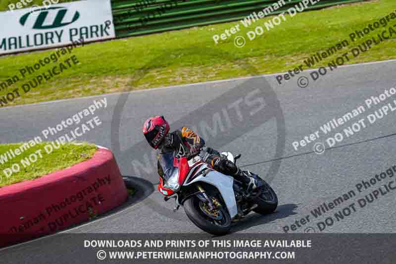 enduro digital images;event digital images;eventdigitalimages;mallory park;mallory park photographs;mallory park trackday;mallory park trackday photographs;no limits trackdays;peter wileman photography;racing digital images;trackday digital images;trackday photos